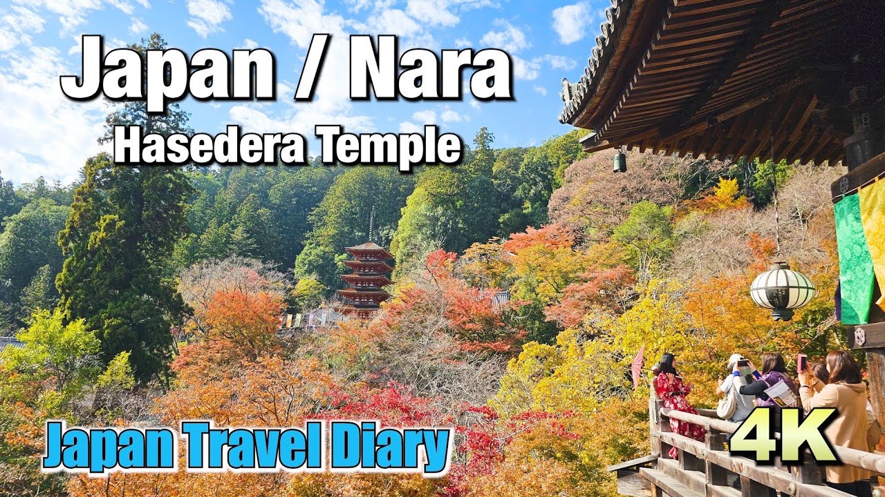 Embark on a captivating journey through travel diary to the enchanting Hasadera Temple.
