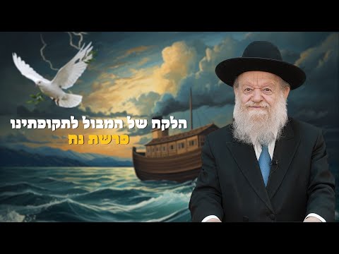 Parshat Noah - The Lesson of the Flood for Our Time - The House of the Righteous Will Stand - | R...