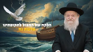 פרשת נח - הלקח של המבול לתקופתנו - בית צדיקים יעמוד - | הרב יוסף צ. בן פורת - תשפ"ו (הרב יוסף צבי בן פורת) - התמונה מוצגת ישירות מתוך אתר האינטרנט יוטיוב. זכויות היוצרים בתמונה שייכות ליוצרה. קישור קרדיט למקור התוכן נמצא בתוך דף הסרטון פרשת נח - הלקח של המבול לתקופתנו - בית צדיקים יעמוד - | הרב יוסף צ. בן פורת - תשפ"ו (הרב יוסף צבי בן פורת) - התמונה מוצגת ישירות מתוך אתר האינטרנט יוטיוב. זכויות היוצרים בתמונה שייכות ליוצרה. קישור קרדיט למקור התוכן נמצא בתוך דף הסרטון