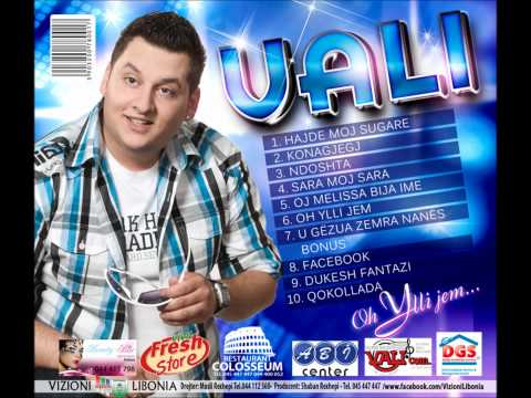 Valmir Delija Vali, Album 2012 -2.konagjegj