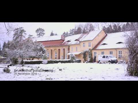 SCOTT GEIGER TEAM - 2016 RECAP