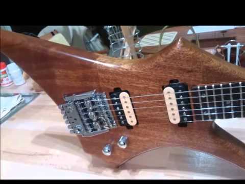 Washburn HM series with wonderbar tremolo by LD guitars