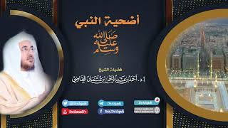أضحية النبي صلى الله عليه وسلم   || أ.د. أحمد القاضي (مقطع قصير) image