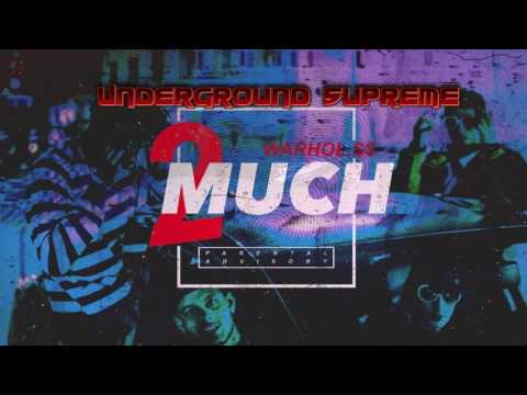 Warhol.ss - 2 much