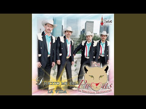 Magnolia El Barrio Mexicano