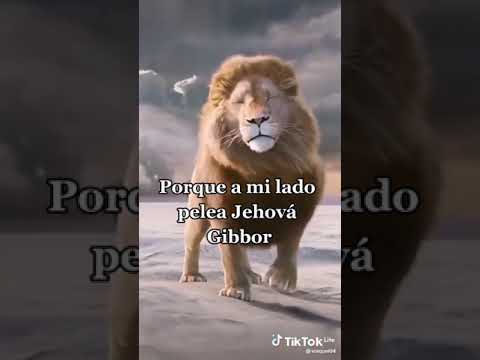 Me paro en la brecha