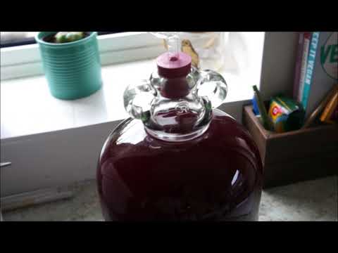 How To Make Blackberry Wine at Home! Part 2 Secondary Fermentation