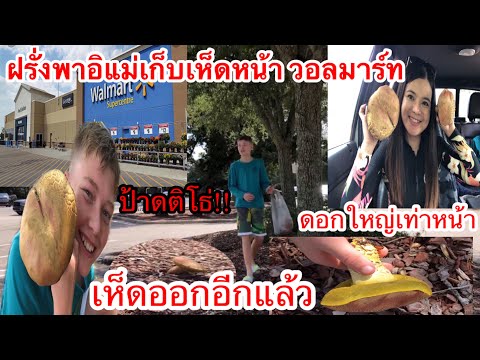 ซับไทย