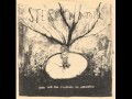 Stereo Mountain (Eric's Trip) - Frame