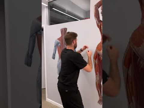 HOW TO FIX BAD POSTURE - Posture Correction