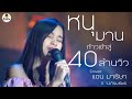หนุมาน แอน มาริษา Cover Version Original 3 50 Feat ปรางทิ�