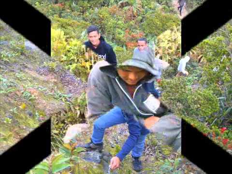  Belilah Lagu Boomerang   Berita Cuaca dan kasetnya di Toko Terdekat Maupun di  iTunes ata download gudang lagu mp3 terbaru 2019 Download Mp3 Gratis Boomerang Berita Cuaca