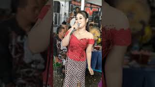 Download lagu Duet 2 Bidadari Rembulan Malam mp3
