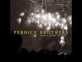 Pernice Brothers - Blinded by the Stars