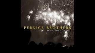 Pernice Brothers - Blinded by the Stars