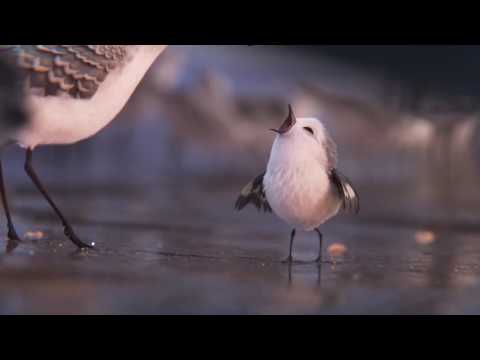 Piper | official FIRST LOOK clip (2016) Finding Dory Disney PIXAR