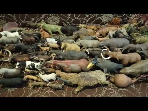 Simba run away from Stampede of lots Present, Prehistoric Animals and the Dinosaurs