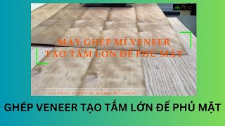 Máy ghép mí veneer tạo thành tấm lớn để phủ mặt VeneerPlus-AG1