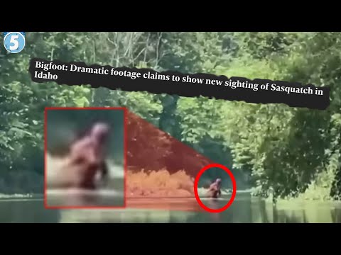 20 SHOCKING Bigfoot Sightings & Encounters That Will Keep You OUT The Woods...