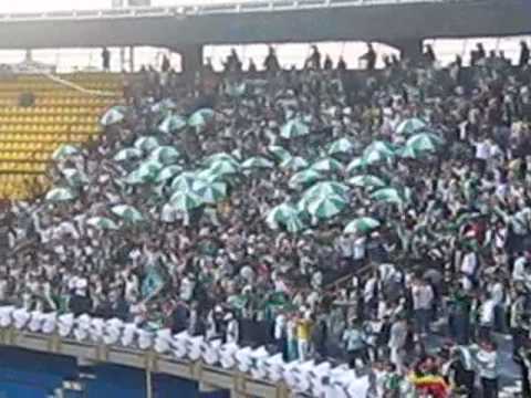 "nacion verdolaga lateral norte 2008" Barra: Nación Verdolaga &bull; Club: Atlético Nacional