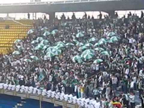 "nacion verdolaga lateral norte 2008" Barra: Nación Verdolaga • Club: Atlético Nacional