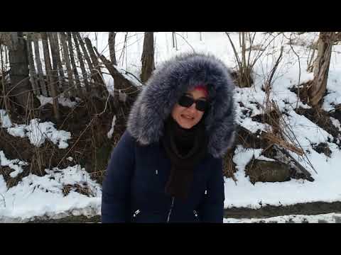 Alunișul prin padure 4 Martie 2018