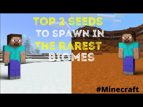The Kraken - Top 2 Seeds to spawn you in th rarest Biomes/Minecraft 1.16 /Mesa Biome/Snow biome.