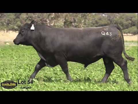 GRANITE RIDGE QUICKSILVER Q43