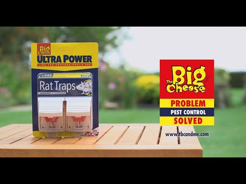 The Big Cheese Ultra Power Rat Traps - Twin Pack - STV149