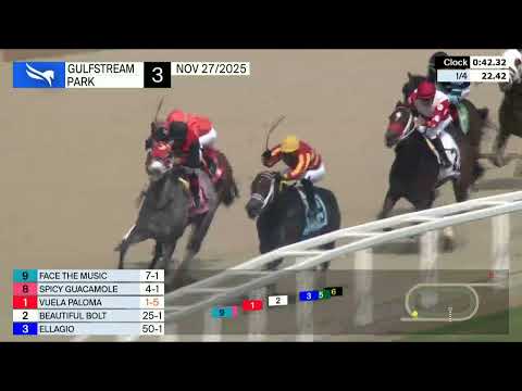 Gulfstream Park 27 de noviembre de 2025 Carrera 3