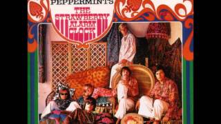 Strawberry Alarm Clock - Rainy Day Mushroom Pillow [1967]