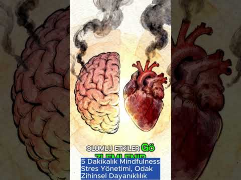 Stres Yönetimi ve Stresle Baş Etmenin Yolları (Psikoloji / Çevreyi Algılama) (Sağlık Bilgisi ve Tıp)