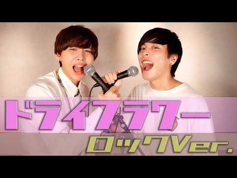 【ドライフラワー】ロックver.をラトゥラトゥアレンジで歌ってみた