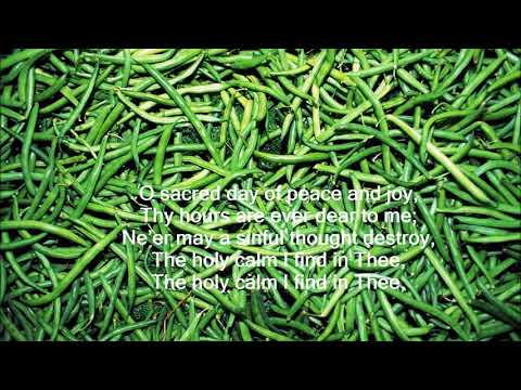 Lord of the Sabbath and its light