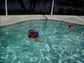 Mirra Swimming In Her Floatie