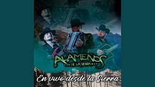 Anillo Grabado (En vivo)