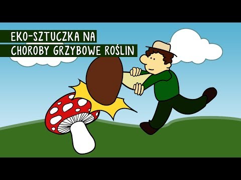 Suplementy diety na zwiększenie potencji u kobiet Chiński apteka w Moskwie adresy potencji