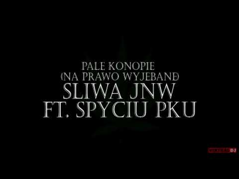 Śliwa JNW Ft. Spyciu PKU - pale konopie (na prawo wyjebane )