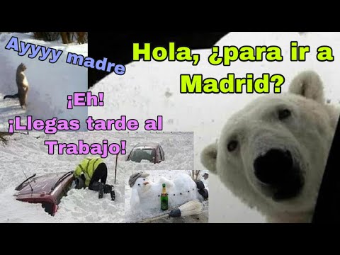 BORRASCA FILOMENA EN MADRID 2021 ll MOMENTOS GRACIOSOS 😂
