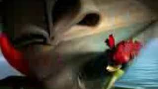 BRONCO  COSAS DEL CORAZON 🎶🎶