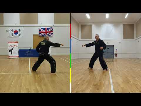 Exercise - Saju Jirugi No.1 White belt (TAGB)
