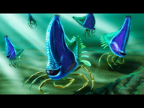 Ainiktozoon: The Most Mysterious Organism That Ever Lived?