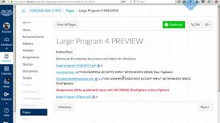 Program 4 - inventory video 1