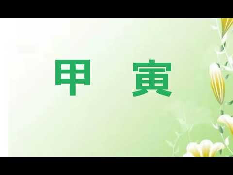 寅代表什麼