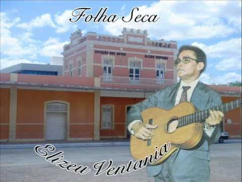 Folha Seca video