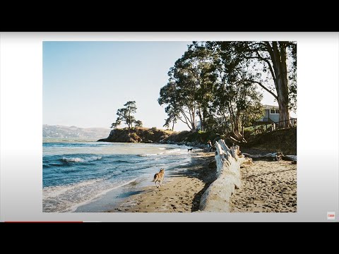 Kodak Pro Image 100 iso - 1 roll 2 Olympus Cameras OM-4/XA