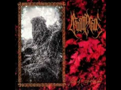 The Fragrant Thorns Of Roses video thumbnail