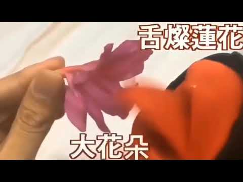 成人用品➖舌舔飛機杯