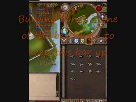 Soul Wars guide for Skillers and Pures