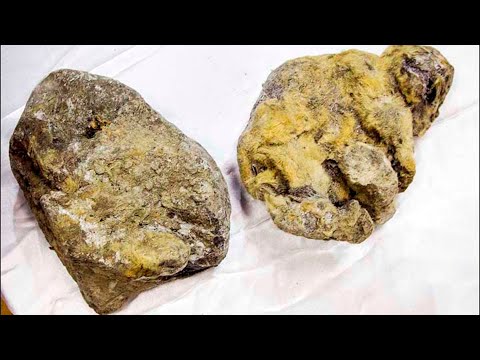 北極の下: 研究者が海底で驚くべき発見をする